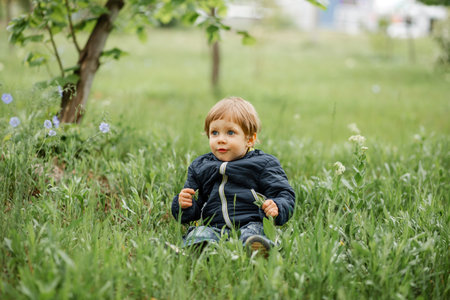 Toddlers exploring park. A child walks in nature on a sunny day. boy running in the park. Child having fun and enjoying the weather. All kids love play with stick. happy childhood. Inquisitive childhood.の写真素材