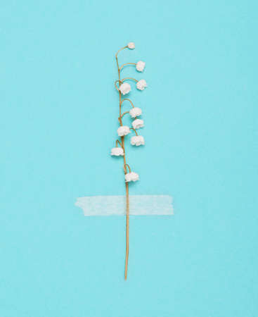 Lily of the valley is glued with adhesive tape to a blue background. Loneliness, captivity, abuse, imprisonment concept.の写真素材