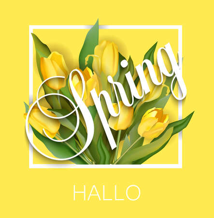 Spring text with tulip flower. Vector illustration.のイラスト素材