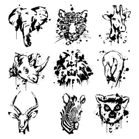 African animal lemur elephant leopard giraffe lion Flamingo antelope and Zebraのイラスト素材