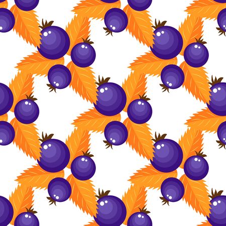 Modern cover design for decoration design. Natural bright design. Colorful wallpaper vector. Wild berry drawing. Black background. White abstract texture. Summer vector background.のイラスト素材