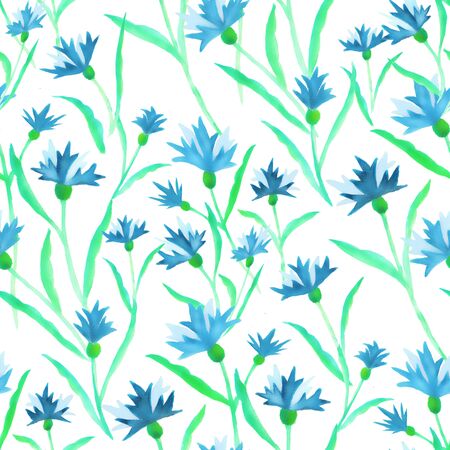 Beautiful watercolor illustration with watercolour blue cornflower on white background. seamless pattern. Watercolour illustration. Watercolor botanical illustration.の写真素材
