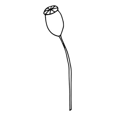 Poppies, hand-drawn illustration. Hand drawn poppy flower isolated on a white background. Hand drawn illustrations.のイラスト素材