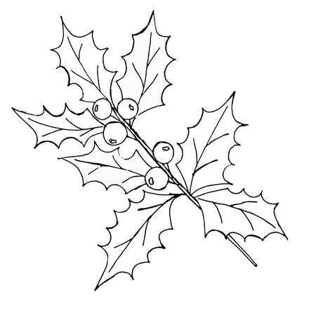 Vector vintage set of hand drawn, tradition Christmas decoration plants. Hand drawn holly isolated on a white background. Great for invitation and greeting cardsのイラスト素材