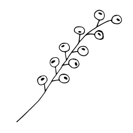 Sketch branch of leaves by hand on an isolated background. Hand drawn branches with leaves and flowers isolated on a white background.のイラスト素材
