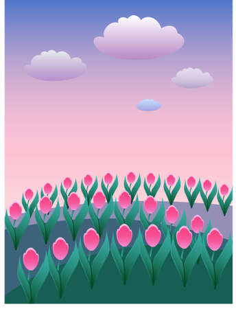 Field of pink tulips by daybreakのイラスト素材