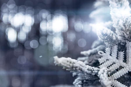 Close-up of snow-covered branches of a winter Christmas tree against a background of shining silver bokeh. New year background and postcard concept.の写真素材