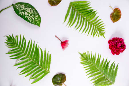 Creative layout made of spring flowers and green leaves. Nature background. Season minimal pattern....