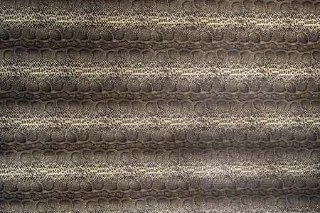 Seamless snake skin texture. Fashion for tropical reptiles. Genuine Python skin.