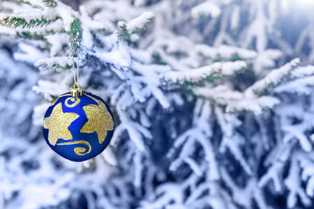 Christmas tree toy on the branches of a fir tree covered with snow. Blue shiny round toy on the new-year tree, on the background of a Christmas tree.の写真素材