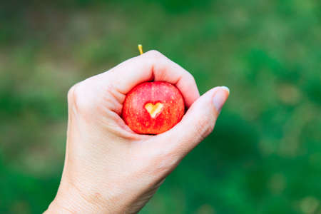 A woman holds a red crab Apple with a heart in his hand. An Apple on a green blurry background. Woman's hand with apple, which cut a heartの写真素材