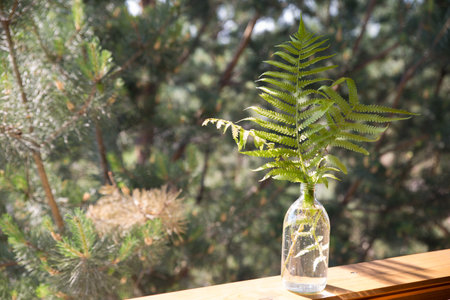 Fern leaves in a transparent vase bottle stand on an old wooden windowsill against the background of a green garden. Spring and summer rural landscapeの写真素材