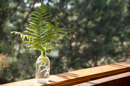 Fern leaves in a transparent vase bottle stand on an old wooden windowsill against the background of a green garden. Spring and summer rural landscape.の写真素材