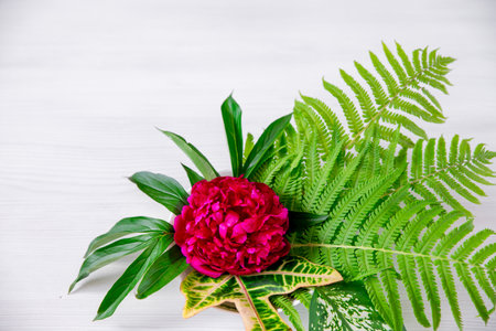 Top view of green tropical leaves and red flowers on a white background. Flat lay, top view, copy space. Minimal summer concept with fern and dieffenbachia leaves. Flowers compositionの写真素材
