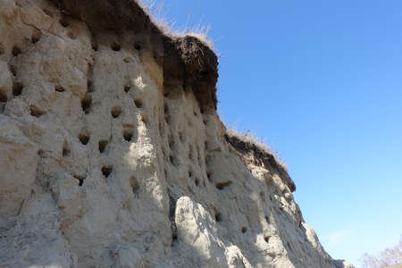 Empty nests, burrows of birds in the sand cliffs. Numerous holes of nests of swallows or swifts in the sandy slopeの写真素材