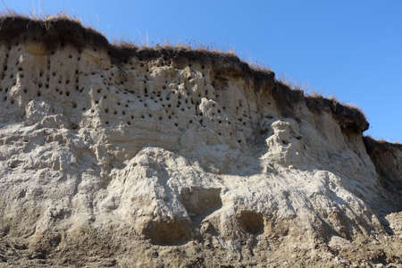 Empty nests, burrows of birds in the sand cliffs. Numerous holes of nests of swallows or swifts in the sandy slopeの写真素材