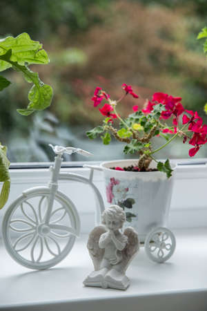 Red geranium flowers in pots on the windowsill, next to a statuette of an angel. Beautiful little geranium pelargonium flower. The concept of comfort and home gardeningの写真素材