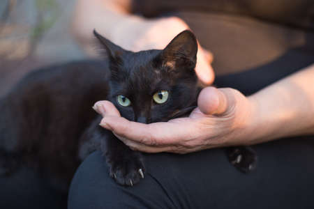 The black cat is sitting on her lap, her nose buried in the woman's palm. The concept of relations...