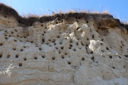 Empty nests, burrows of birds in the sand cliffs. Numerous holes of nests of swallows or swifts in the sandy slopeの写真素材