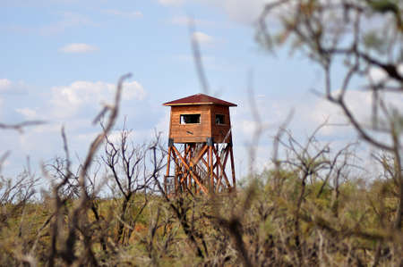 wooden construction for bird  watchingの写真素材