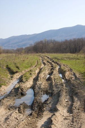 Dirt forest road with big puddles.The road washed out by rain. On the road, traces of large...