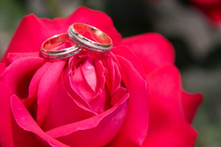 Two gold wedding rings with pink rose
