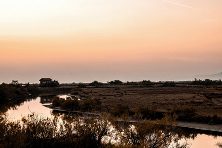 Sunset on Evros Delta National Park Greece Thrace.