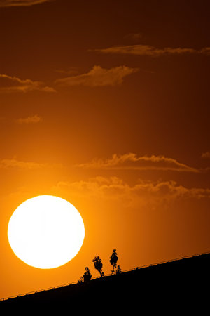 Beautiful sunset colours with tree silhouette.