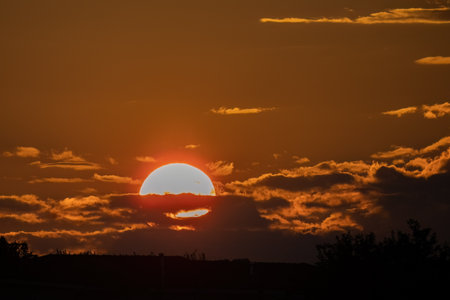 Beautiful sunset colours with tree silhouette.の写真素材