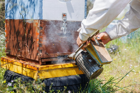 A beehive man-made structure to house a honey bee nest in Greek fields.の写真素材