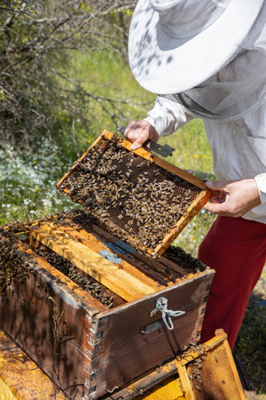 A beehive man-made structure to house a honey bee nest in Greek fields.の写真素材
