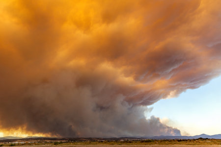 Devastating wildfire in Alexandroupolis Evros Greece, ecological and environmental disaster, smoke covered the sky.の写真素材