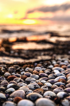 Golden splash of waves on sunset, beautiful sky and seashells.の写真素材