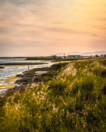 Sunset on the wetland National Park Delta Evros in Thrace Greece near to Feres and Alexandroupolis.
