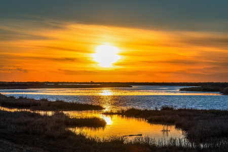 Sunset on the wetland National Park Delta Evros in Thrace Greece near to Feres and Alexandroupolis.の写真素材