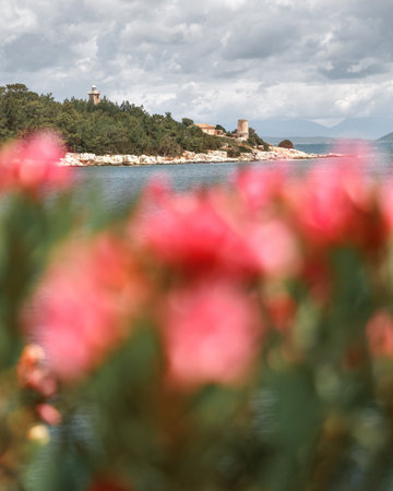 Cruise to Fiskardo Kefalonia Greek island, Ionian Sea near Preveza. Summer vacation. Cloudy sky and red flowers on the foreground.の写真素材