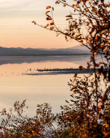 Beautiful sunset scenery on Kerkini lake Macedonia Greece, golden hour and sunrise.