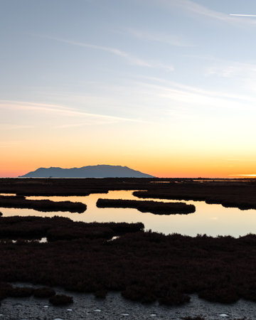 Panoramic view on sunset or sunrise at National Park of Evros Delta, near Alexandroupolis, Dadia forest and Turkish border, water reflection.の写真素材