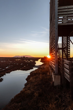 Panoramic view on sunset or sunrise at National Park of Evros Delta, near Alexandroupolis, Dadia forest and Turkish border, water reflection.の写真素材