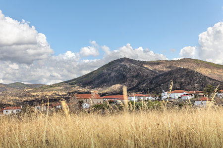 Village Kirki Evros Greece recovering after a massive wildfire, forest and mountain restoration,...