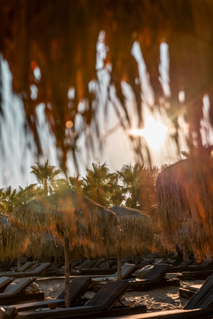 Sunset vibes on the exotic beach, sun through the palms, summer period, vacation period, and background.の写真素材