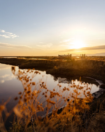 Beautiful sunset or sunrise on the wetland National Park Delta Evros in Thrace Greece near to Feres and Alexandroupolis, near Greek Turkish borders, panoramic view.の写真素材