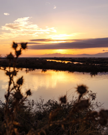 Beautiful sunset or sunrise on the wetland National Park Delta Evros in Thrace Greece near to Feres...