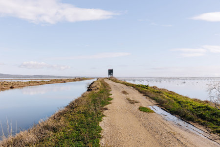 Panoramic view of the National Park of Evros Delta, near Alexandroupolis and Turkish border, Dadia forest and protected wetland, cloudy sky.の写真素材