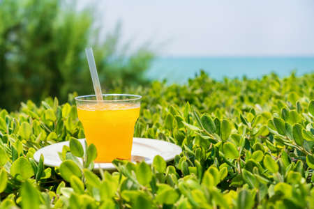 summer, a glass of fresh juice from yellow tropical fruits on the beach, on green grass, against the background of the seaの写真素材