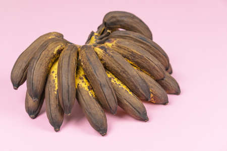 bunch of ugly overripe spoiled mini bananas on a pale pink backgroundの写真素材