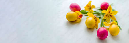 Easter eggs with yellow tulips on a light white background.banner. Copyspace for text