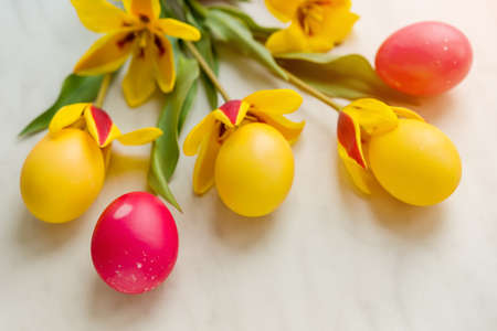 Easter eggs with yellow tulips on a light white background