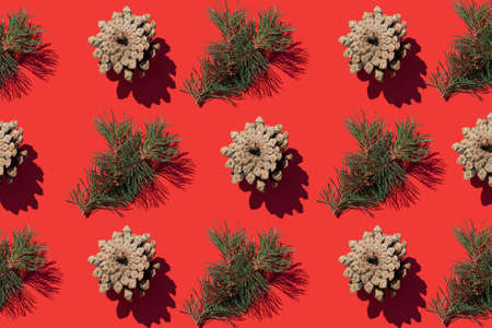 Creative pattern with a fir branch and a cone on a red background. The Concept Of Christmasの写真素材
