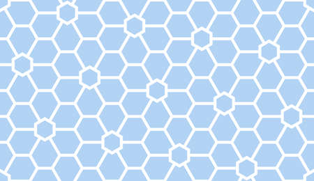 Flower geometric pattern. Seamless vector background. White and blue ornament. Ornament for fabric,...